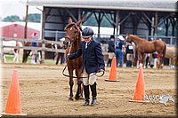 4H-2nd--072813-1189.jpg