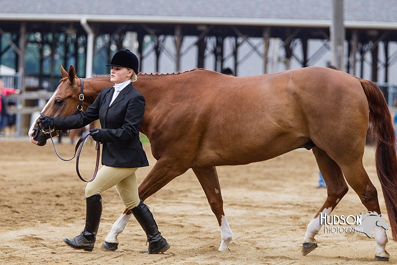 4H-2nd--072813-1073.jpg