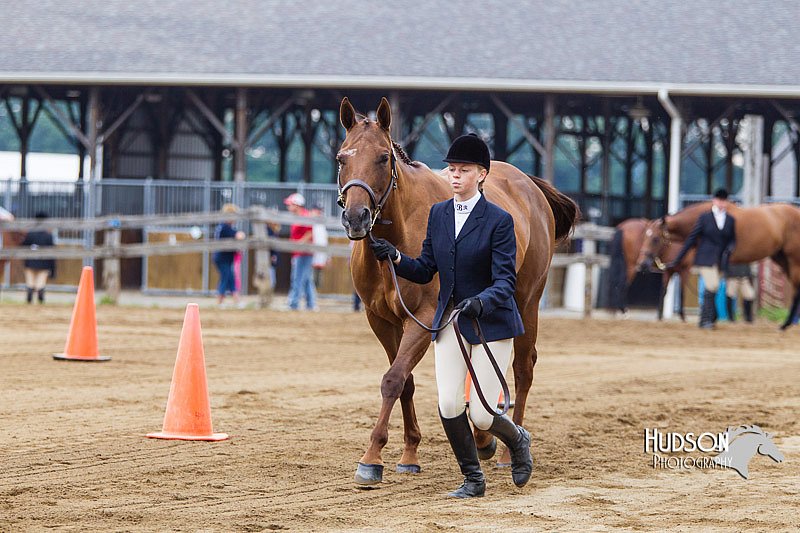4H-2nd--072813-1079.jpg