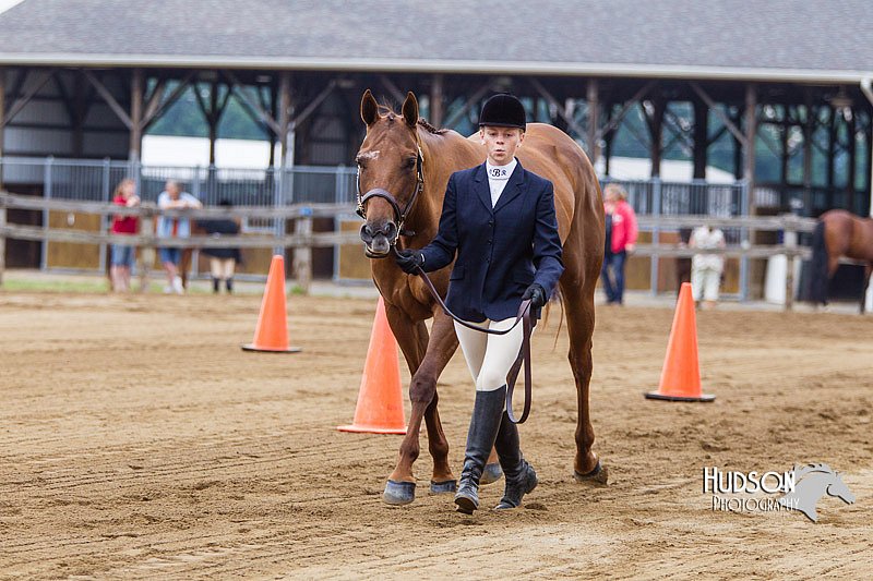 4H-2nd--072813-1080.jpg