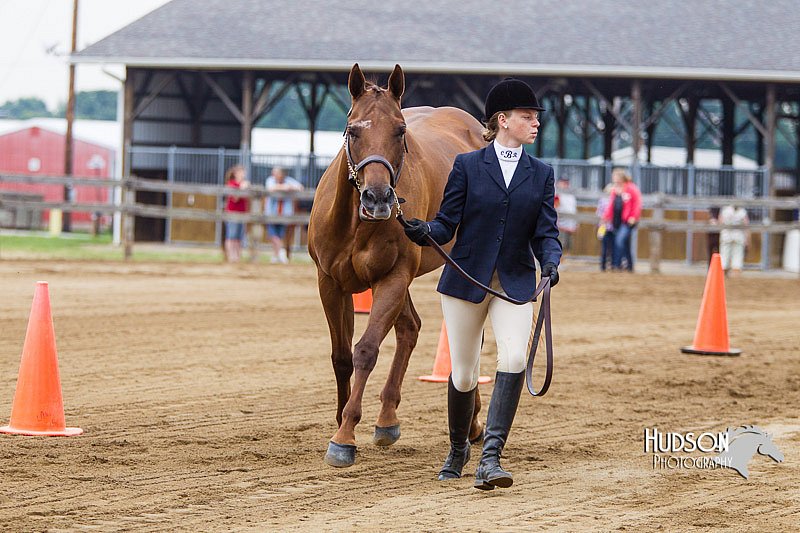 4H-2nd--072813-1081.jpg