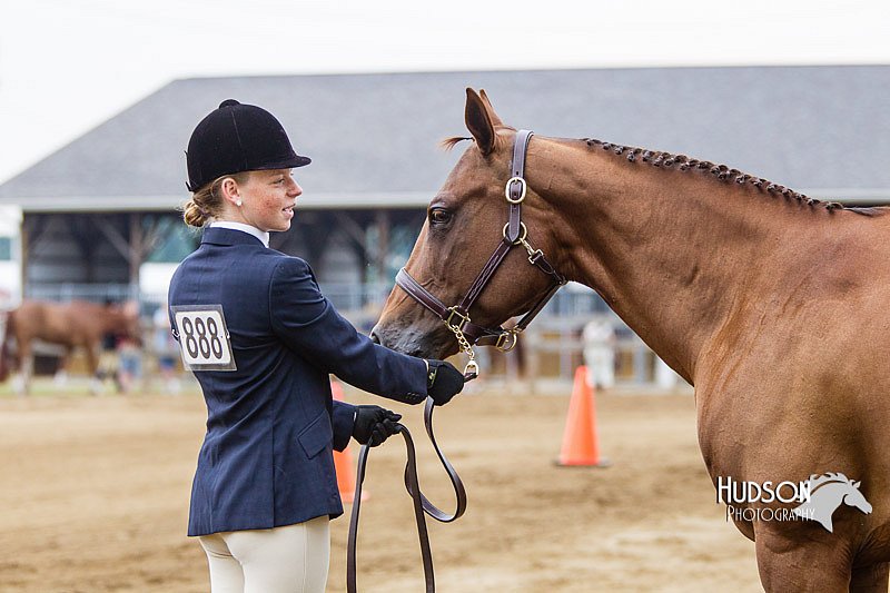 4H-2nd--072813-1084.jpg