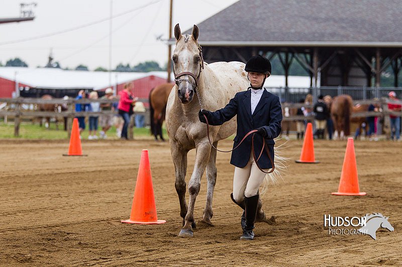 4H-2nd--072813-1089.jpg
