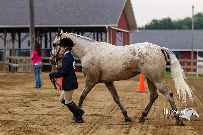 4H-2nd--072813-1091.jpg