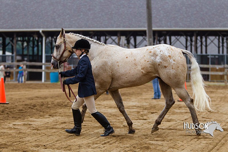 4H-2nd--072813-1092.jpg