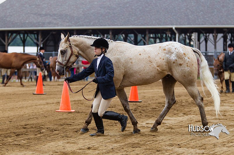 4H-2nd--072813-1093.jpg