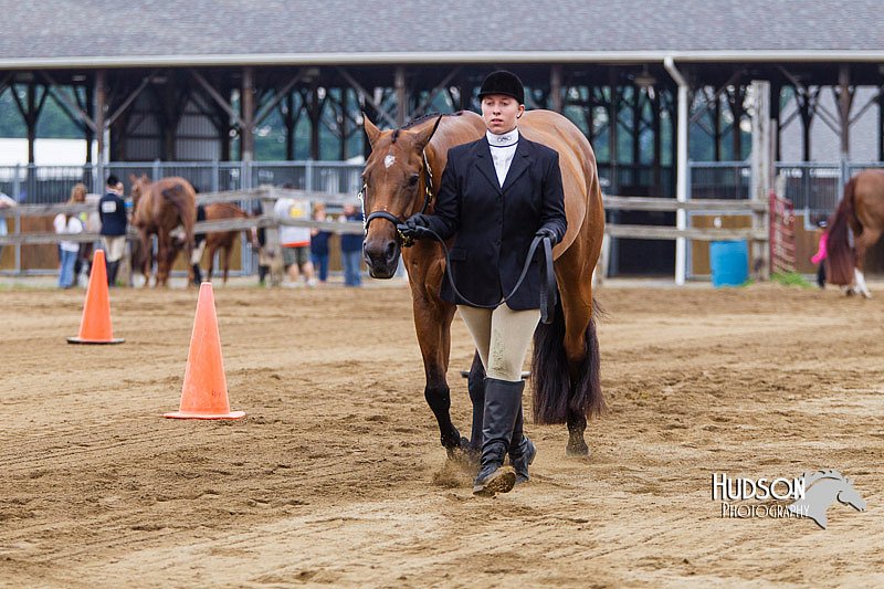 4H-2nd--072813-1106.jpg