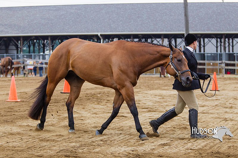 4H-2nd--072813-1108.jpg
