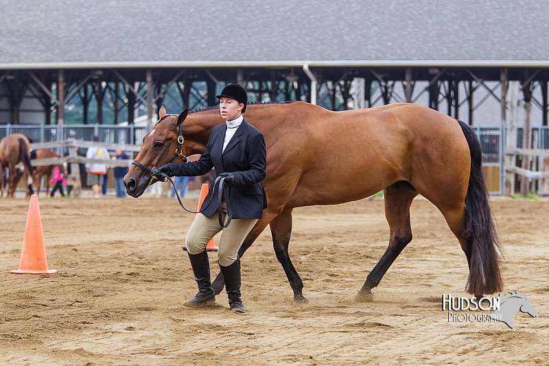 4H-2nd--072813-1112.jpg