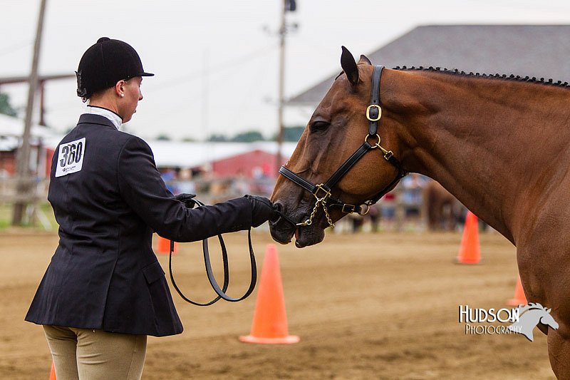 4H-2nd--072813-1119.jpg