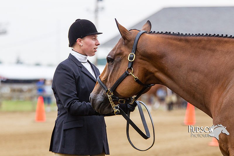 4H-2nd--072813-1120.jpg