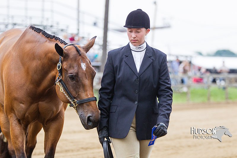 4H-2nd--072813-1125.jpg
