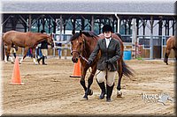 4H-2nd--072813-1063.jpg