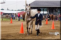 4H-2nd--072813-1089.jpg