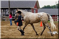 4H-2nd--072813-1091.jpg