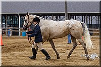 4H-2nd--072813-1092.jpg