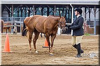4H-2nd--072813-1095.jpg