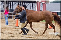 4H-2nd--072813-1100.jpg