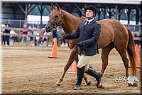 4H-2nd--072813-1101.jpg