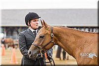 4H-2nd--072813-1103.jpg