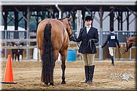4H-2nd--072813-1104.jpg