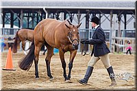 4H-2nd--072813-1105.jpg