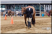 4H-2nd--072813-1106.jpg