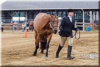 4H-2nd--072813-1107.jpg