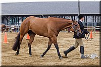 4H-2nd--072813-1108.jpg