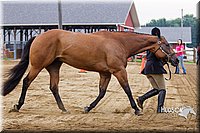 4H-2nd--072813-1109.jpg