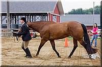4H-2nd--072813-1110.jpg