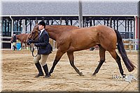 4H-2nd--072813-1111.jpg