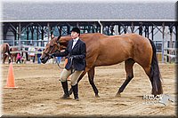 4H-2nd--072813-1112.jpg