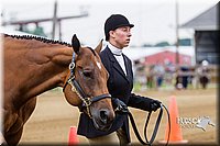 4H-2nd--072813-1115.jpg