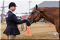 4H-2nd--072813-1117.jpg