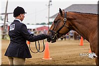 4H-2nd--072813-1119.jpg