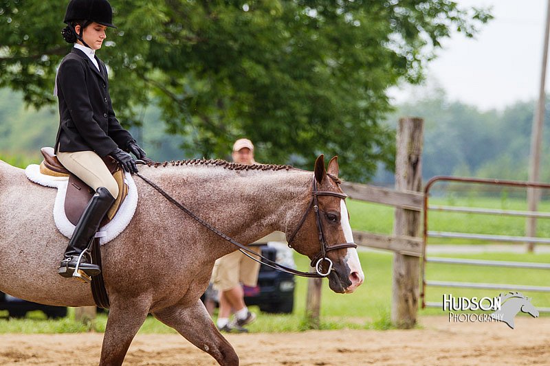 4H-2nd--072813-2464.jpg