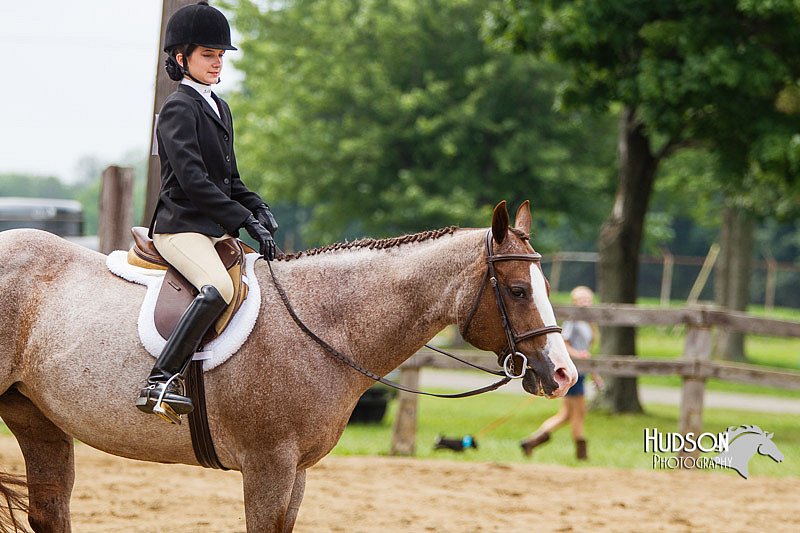 4H-2nd--072813-2465.jpg