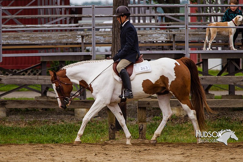 4H-2nd--072813-2421.jpg