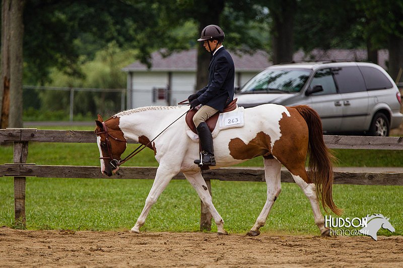 4H-2nd--072813-2426.jpg