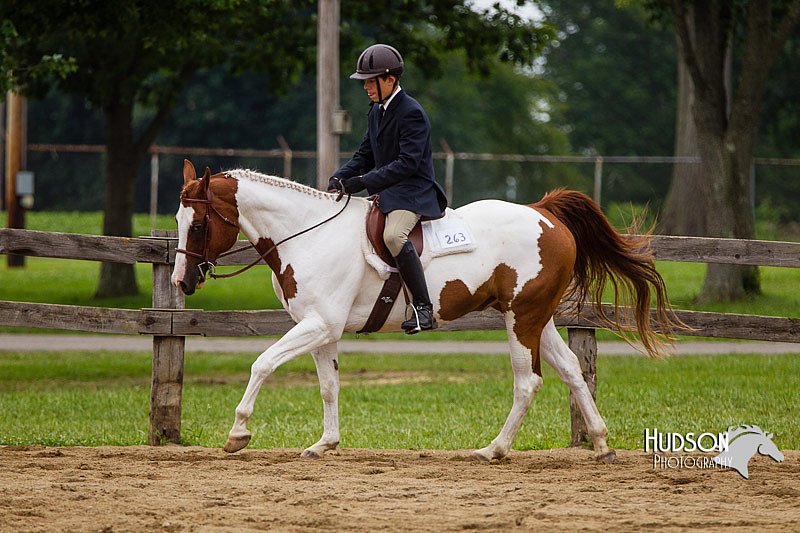 4H-2nd--072813-2427.jpg