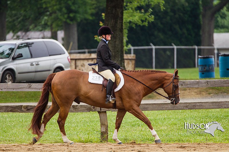 4H-2nd--072813-2428.jpg