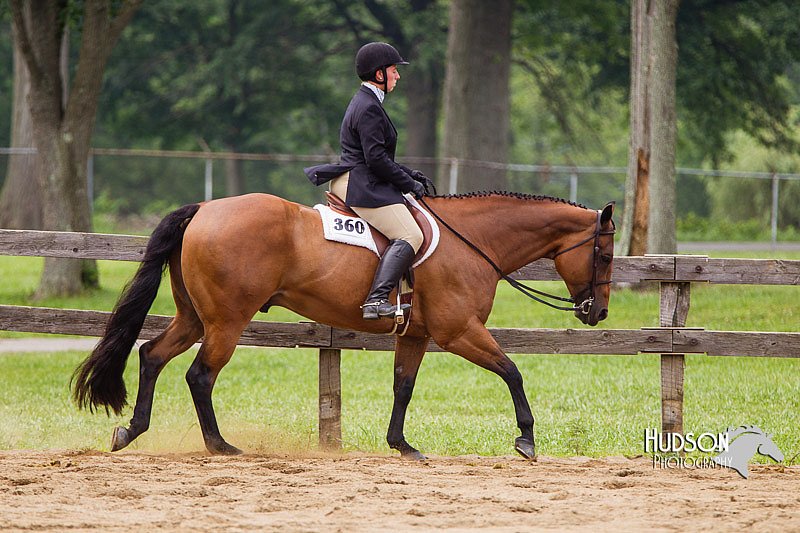 4H-2nd--072813-2430.jpg