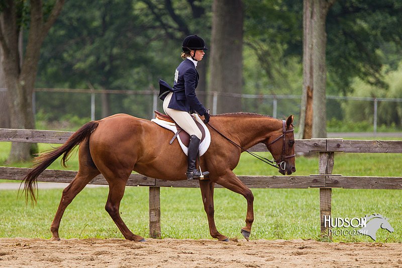 4H-2nd--072813-2432.jpg