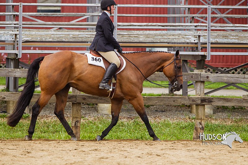 4H-2nd--072813-2433.jpg