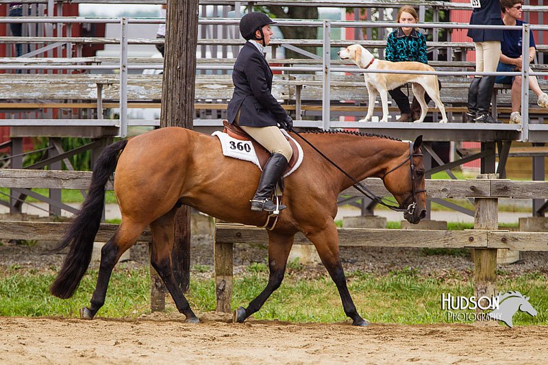 4H-2nd--072813-2435.jpg