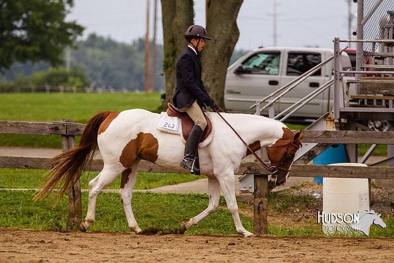 4H-2nd--072813-2437.jpg