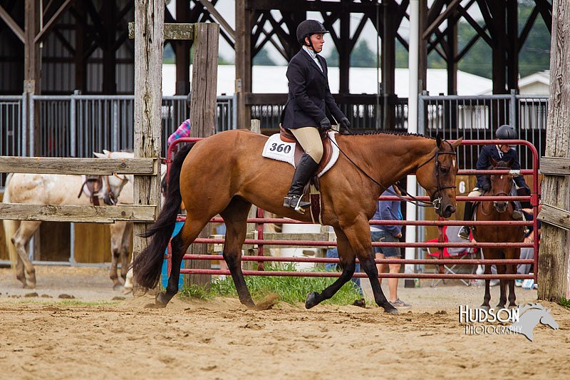 4H-2nd--072813-2439.jpg