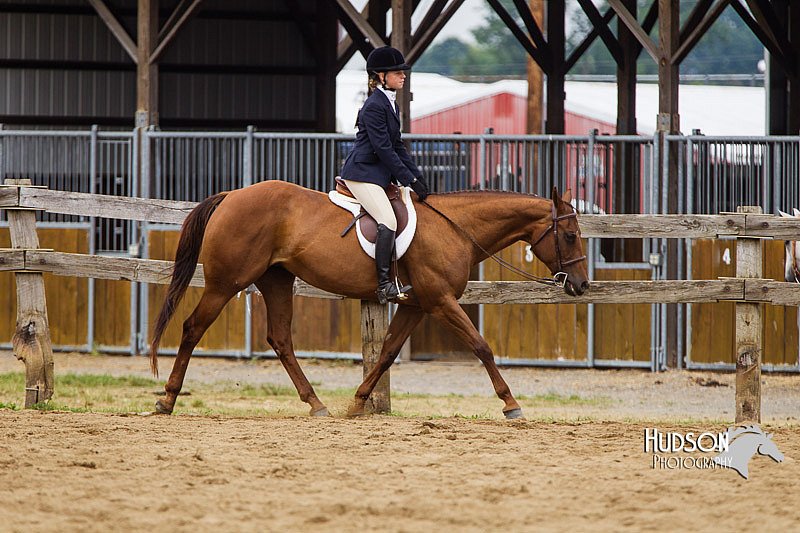 4H-2nd--072813-2440.jpg