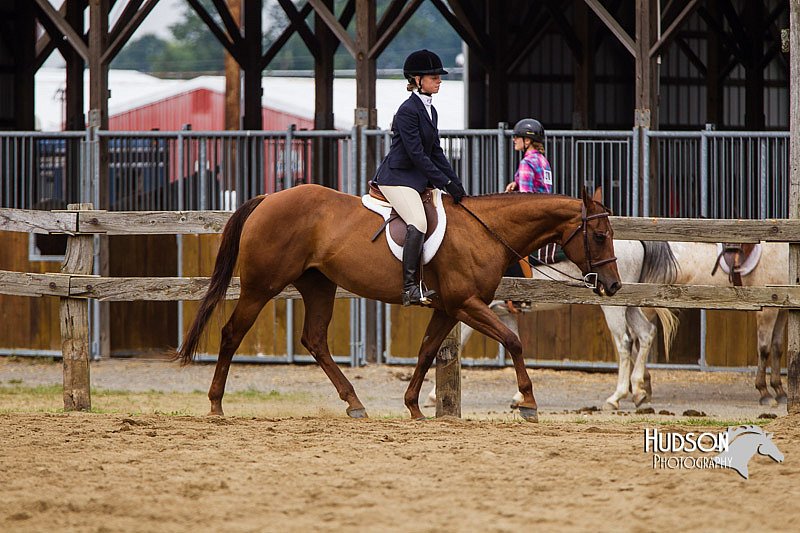 4H-2nd--072813-2441.jpg